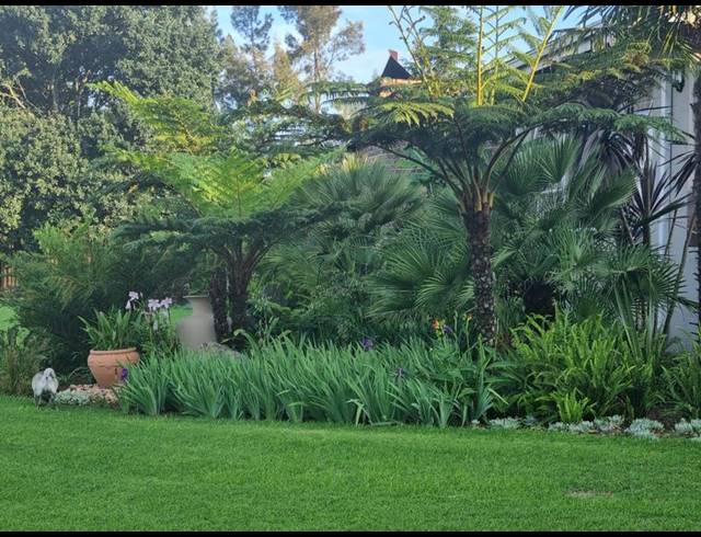 FARM FOR SALE IN ERMELO RURAL